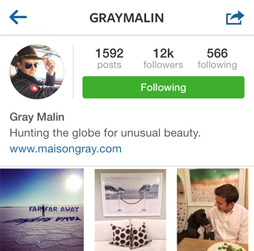 InstagramFaves_GrayMalin