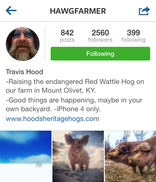 InstagramFaves_HawgFarmer